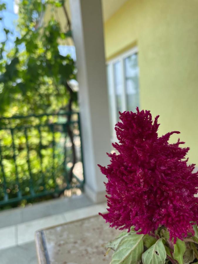 Apartments Mornar Poljica  Kültér fotó