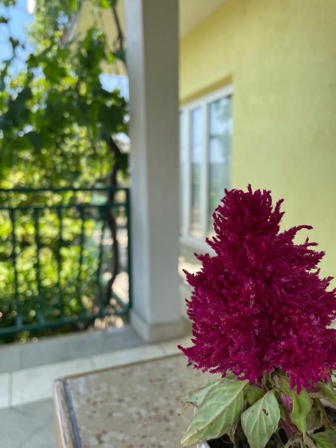 Apartments Mornar Poljica  Kültér fotó
